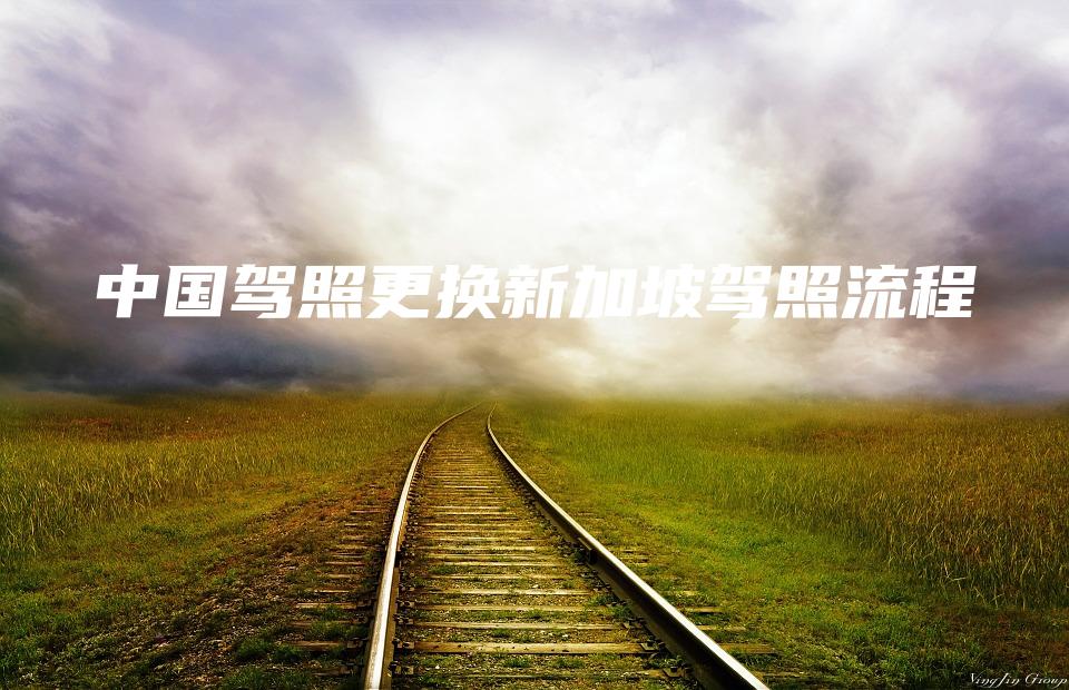 中国驾照更换新加坡驾照流程