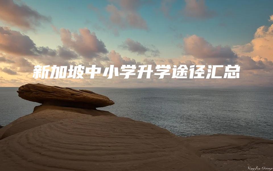 新加坡中小学升学途径汇总
