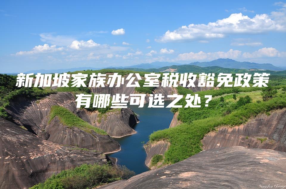 新加坡家族办公室税收豁免政策有哪些可选之处？