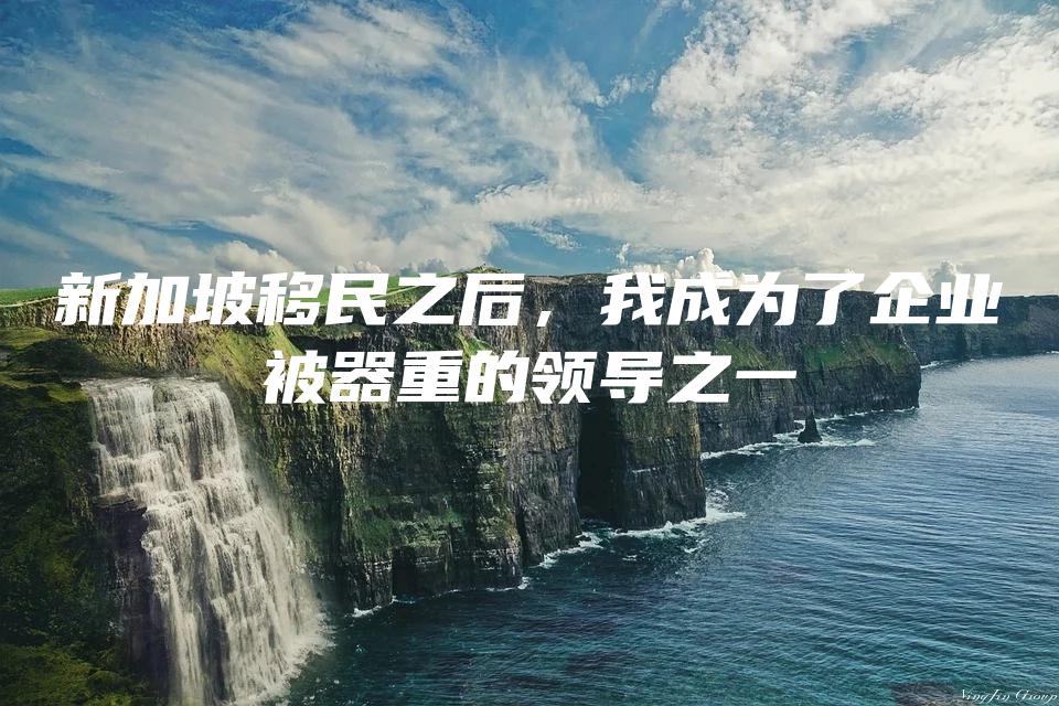 新加坡移民之后，我成为了企业被器重的领导之一
