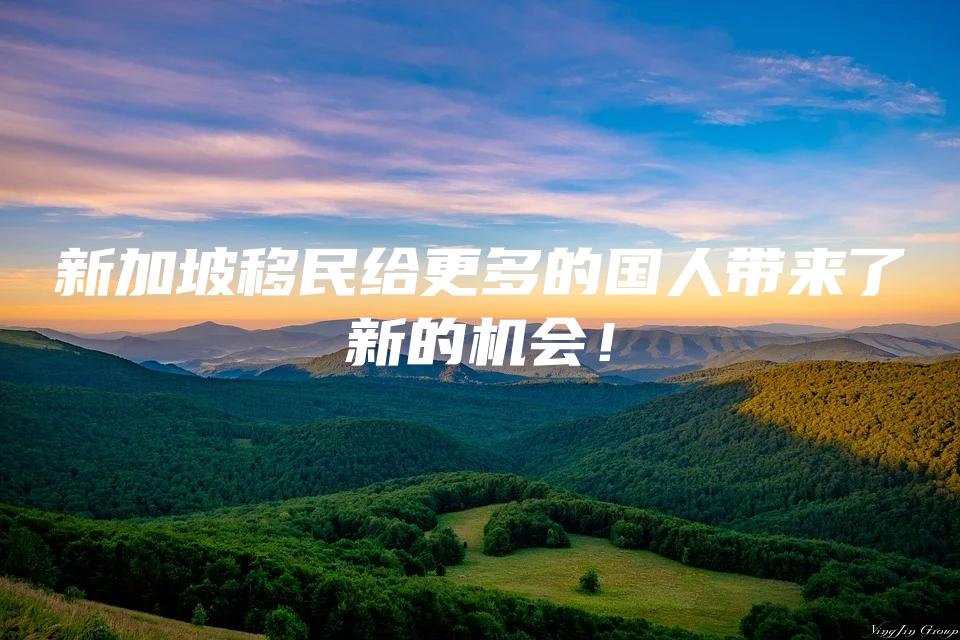 新加坡移民给更多的国人带来了新的机会！