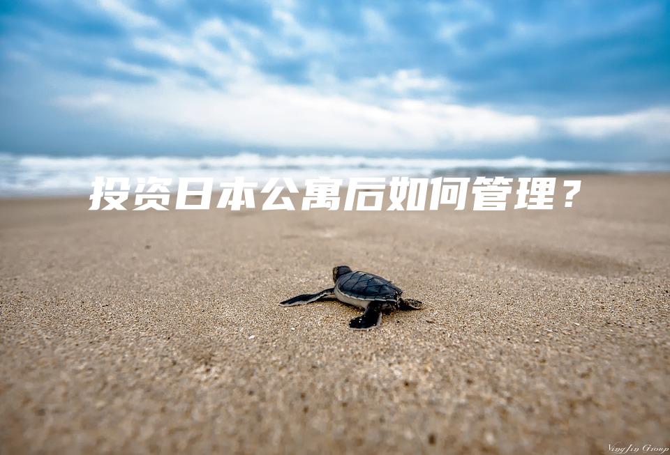 投资日本公寓后如何管理？