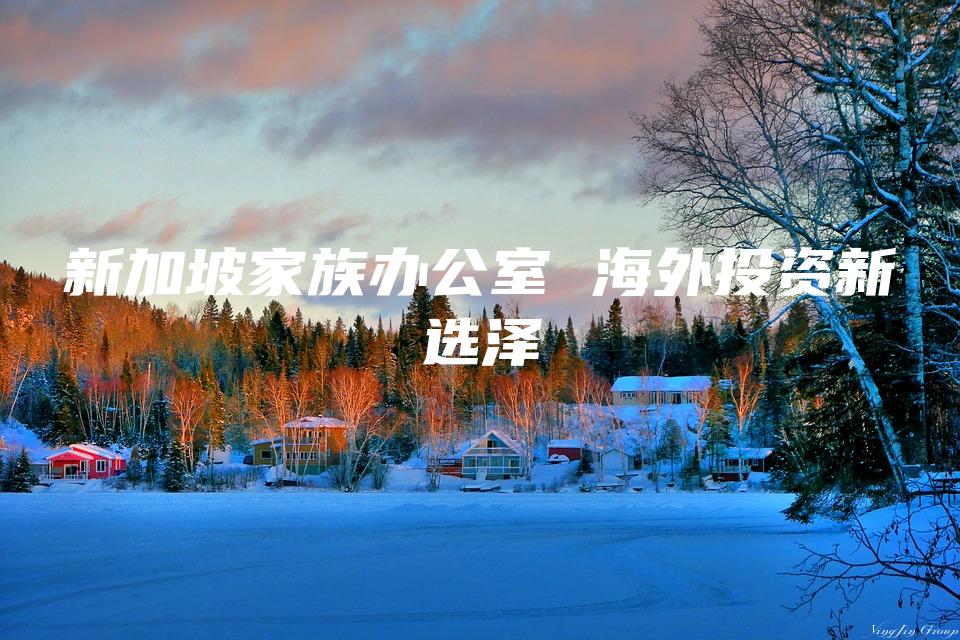 新加坡家族办公室 海外投资新选择