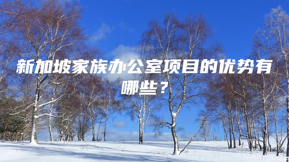 新加坡家族办公室项目的优势有哪些？