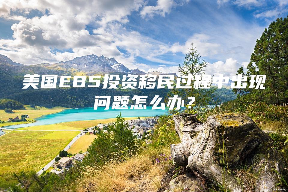 美国EB5投资移民过程中出现问题怎么办？