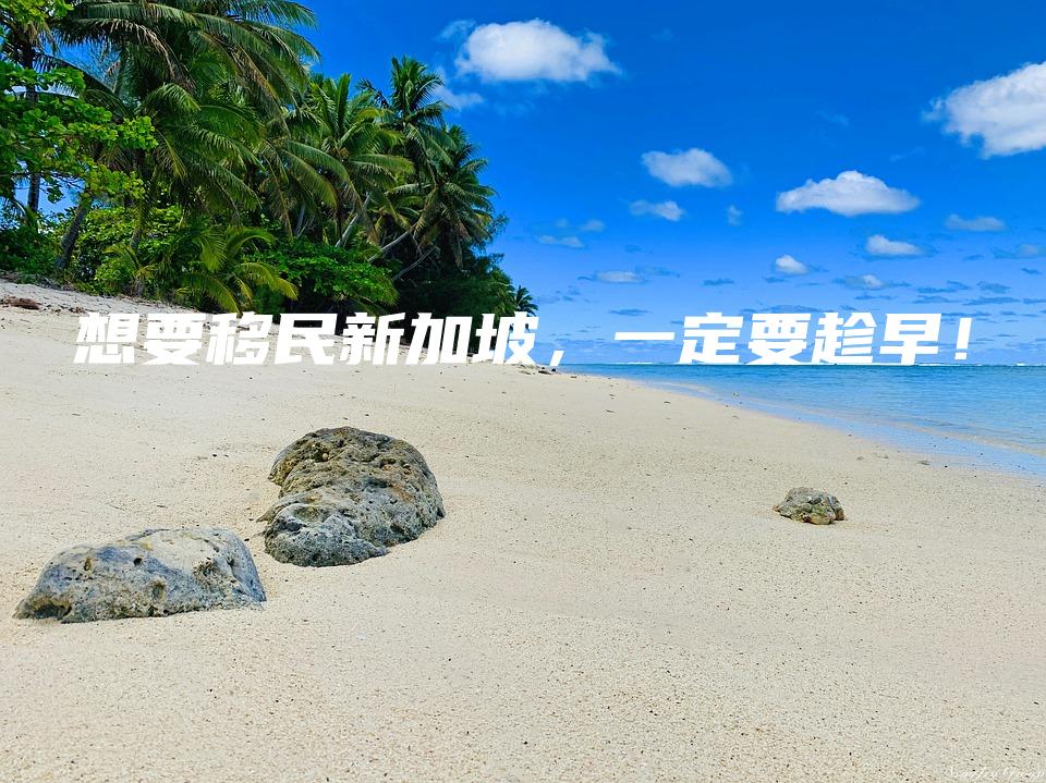 想要移民新加坡，一定要趁早！