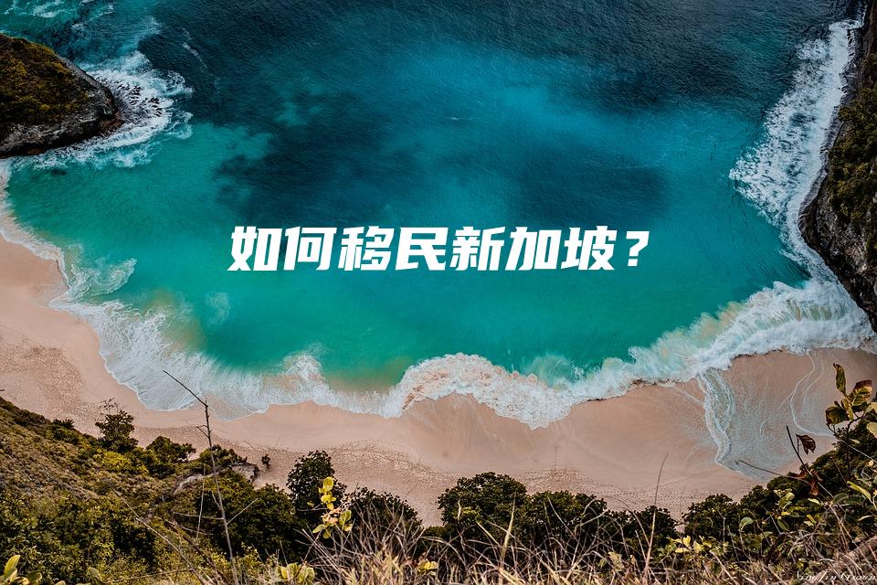 如何移民新加坡？