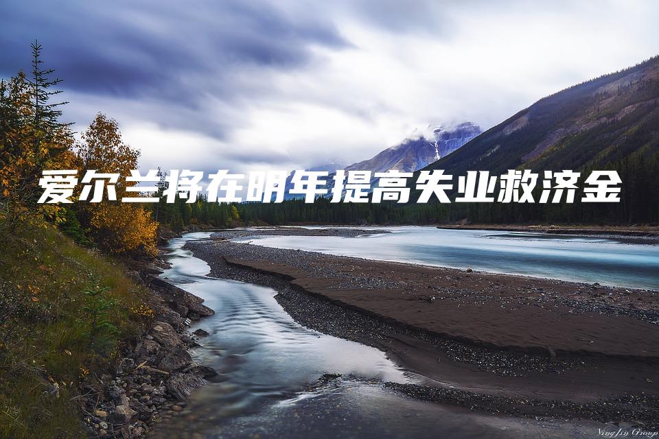 爱尔兰将在明年提高失业救济金