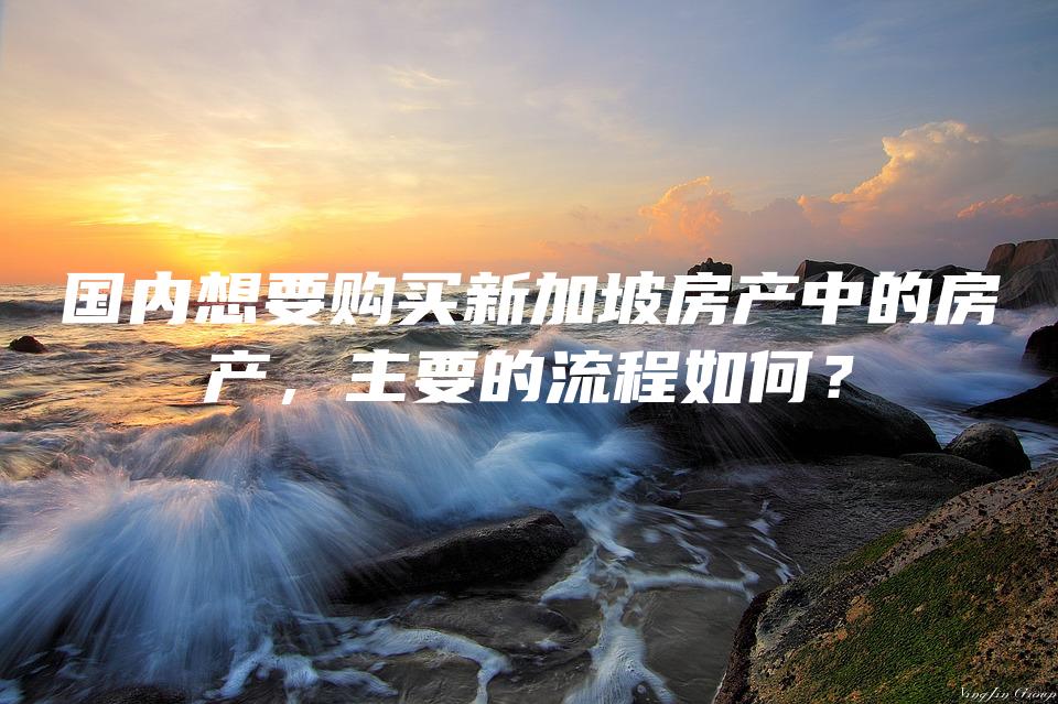 国内想要购买新加坡房产中的房产，主要的流程如何？