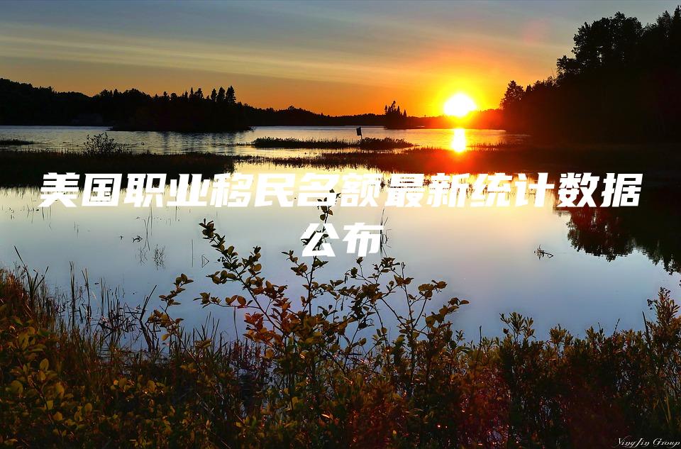 2022美国职业移民名额最新统计数据公布
