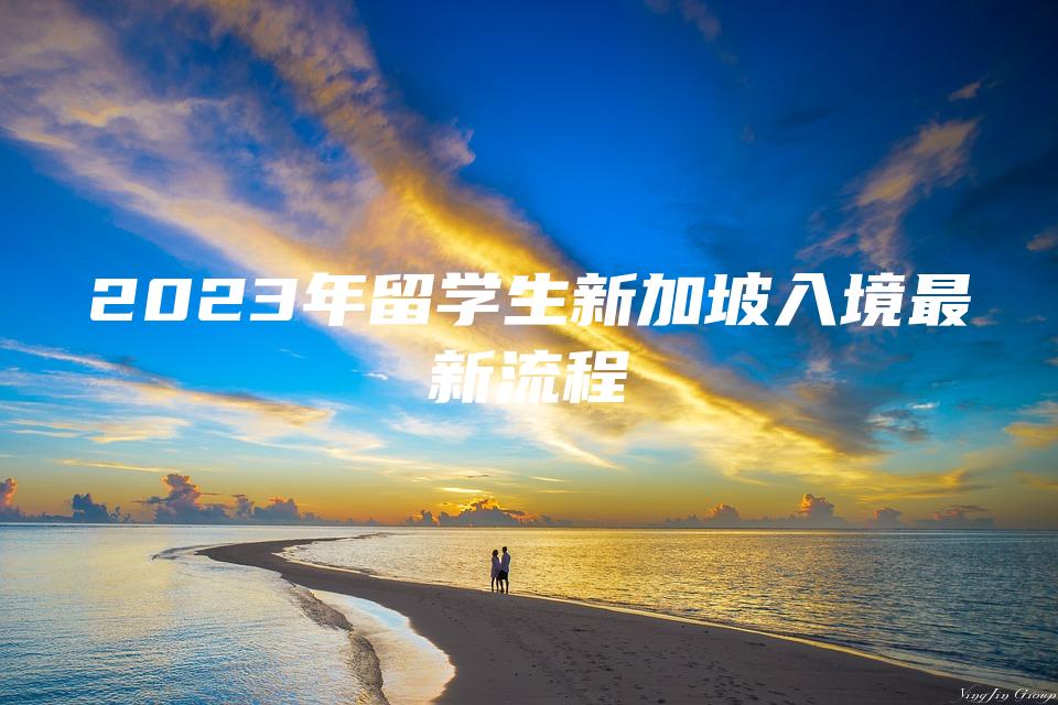 2023年留学生新加坡入境最新流程