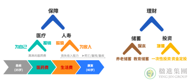 新加坡保险避坑指南