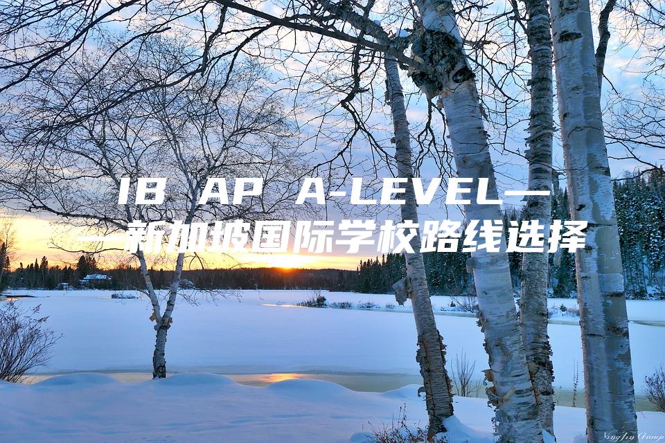 IB AP A-LEVEL——新加坡国际学校路线选择