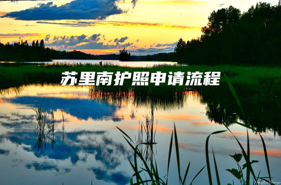 苏里南护照申请流程