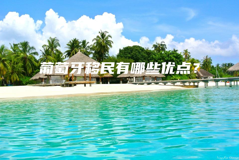 葡萄牙移民有哪些优点？