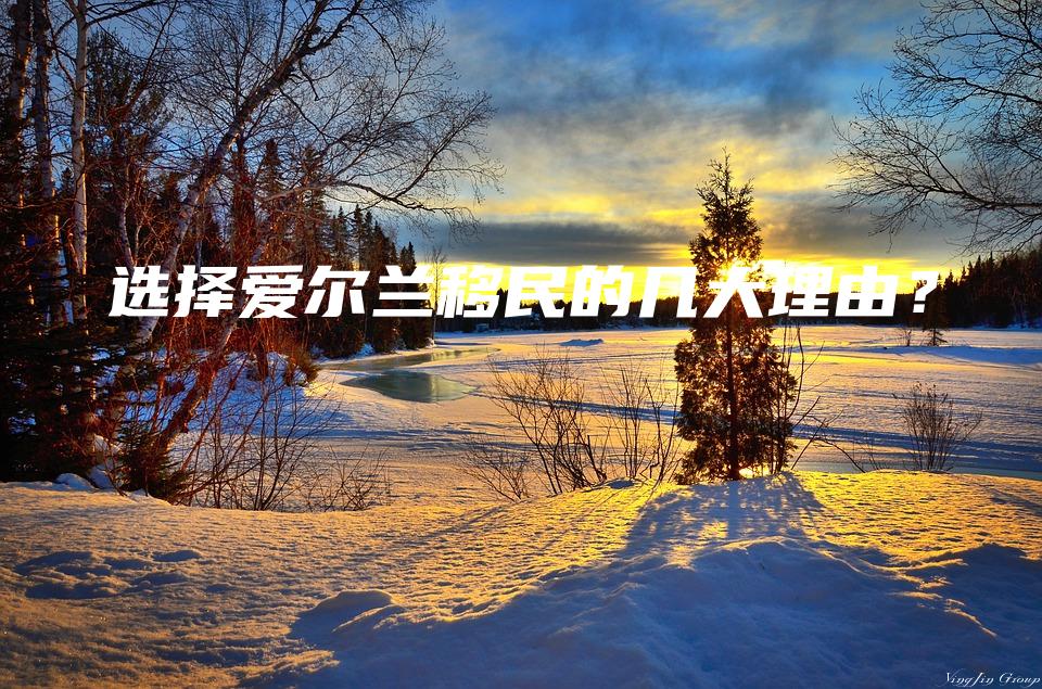 选择爱尔兰移民的几大理由？