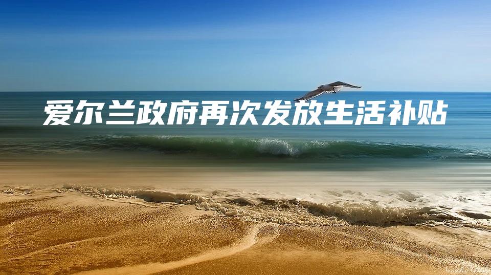 爱尔兰政府再次发放生活补贴
