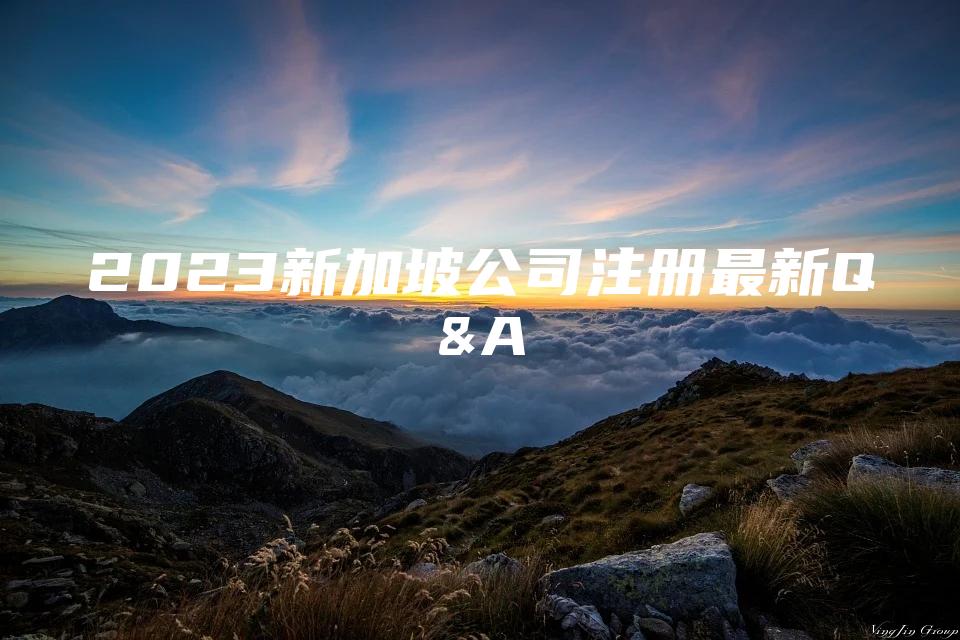 2023新加坡公司注册最新Q&A