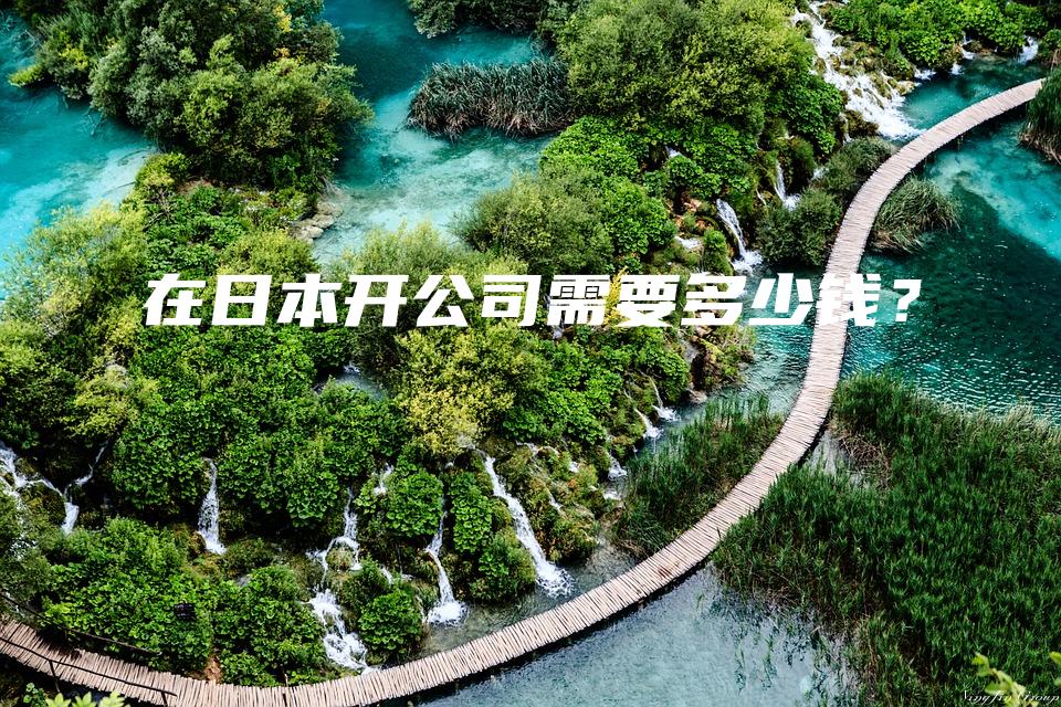在日本开公司需要多少钱？