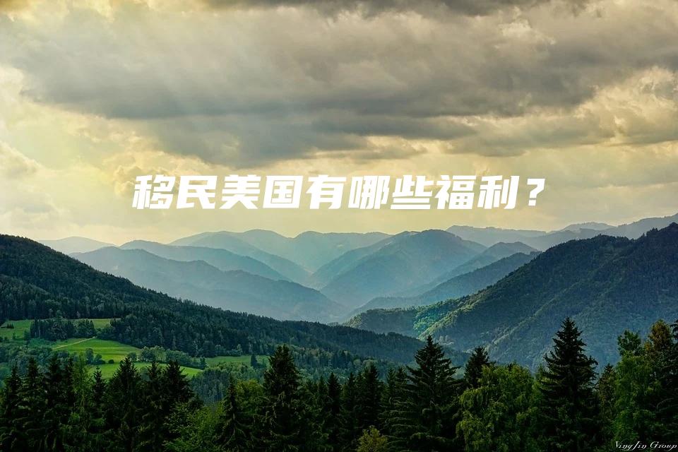 移民美国有哪些福利？