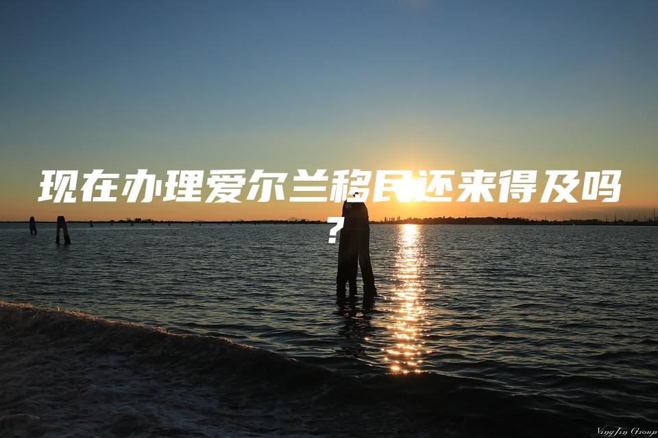 现在办理爱尔兰移民还来得及吗？