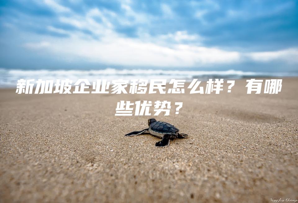 新加坡企业家移民怎么样？有哪些优势？