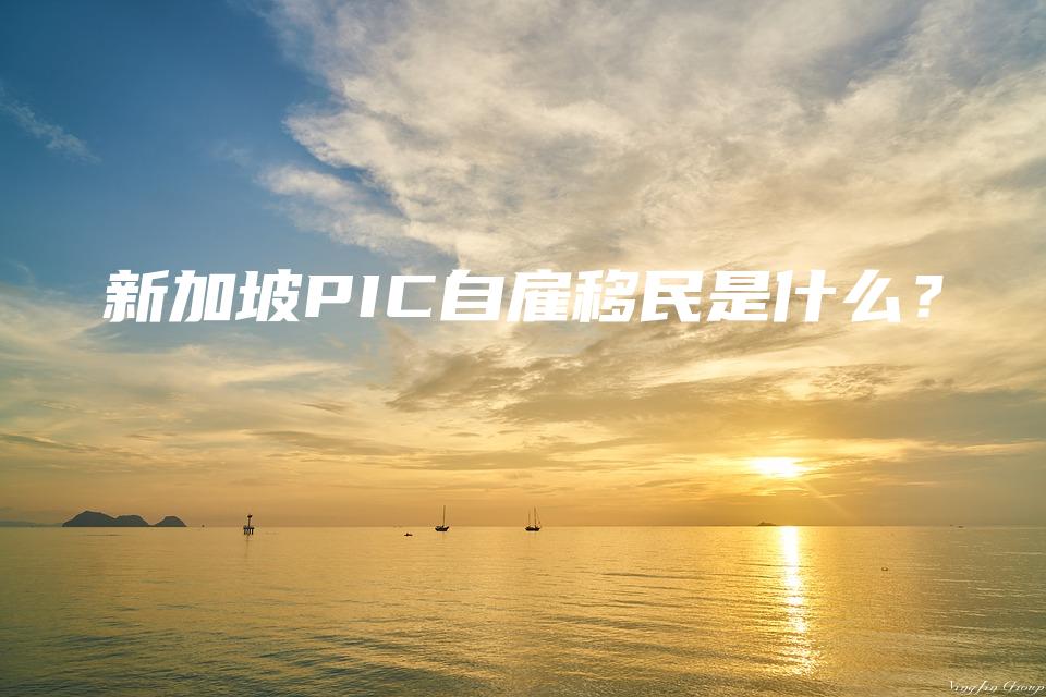 新加坡PIC自雇移民是什么？
