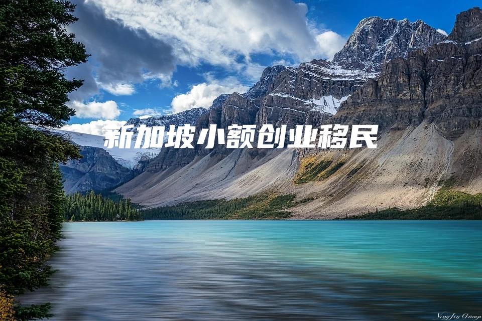 新加坡小额创业移民