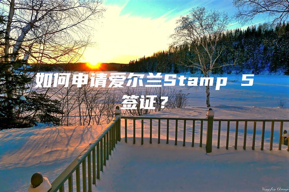 如何申请爱尔兰Stamp 5签证？