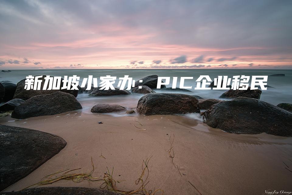 新加坡小家办：PIC企业移民