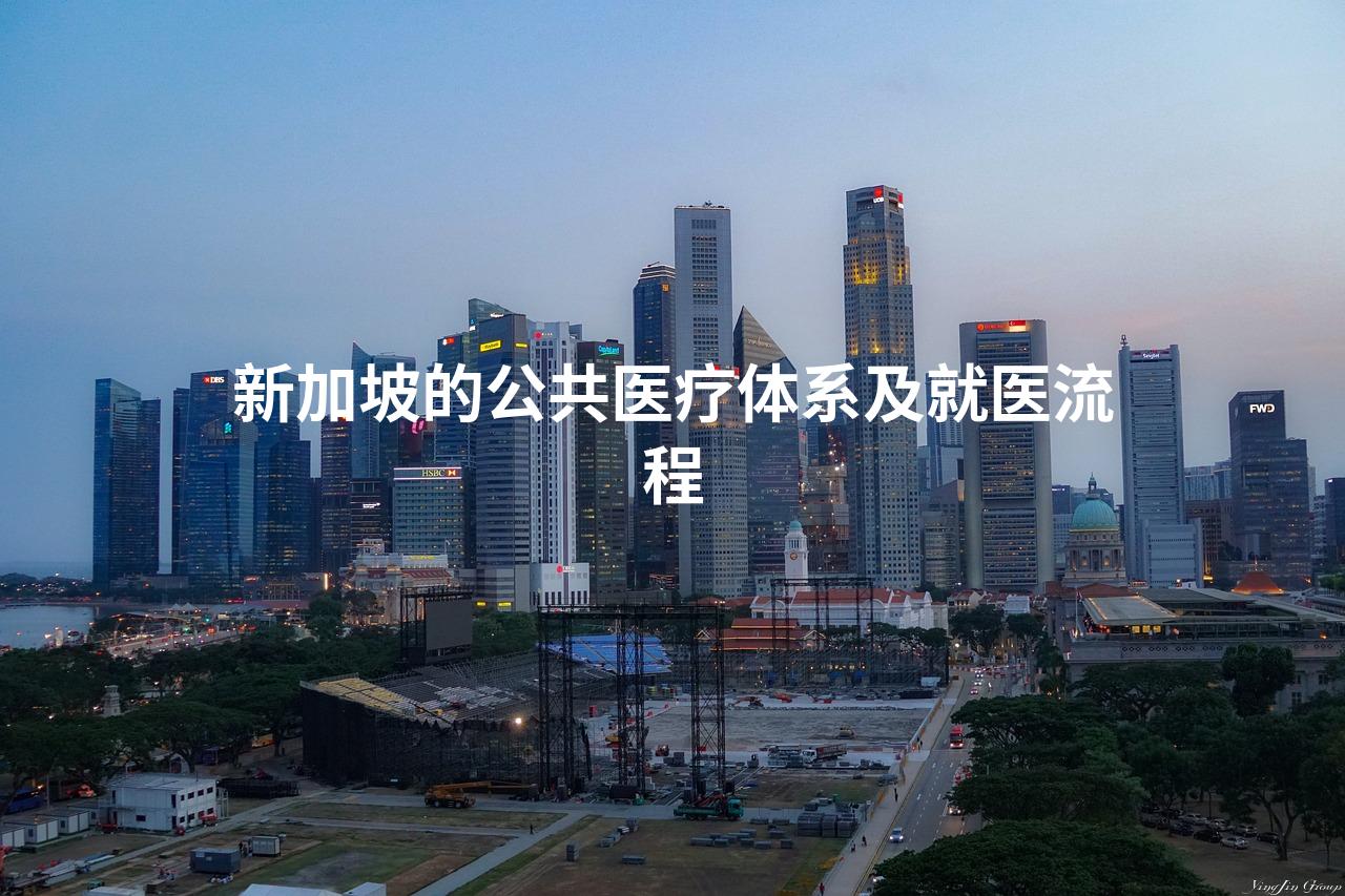 新加坡的公共医疗体系及就医流程