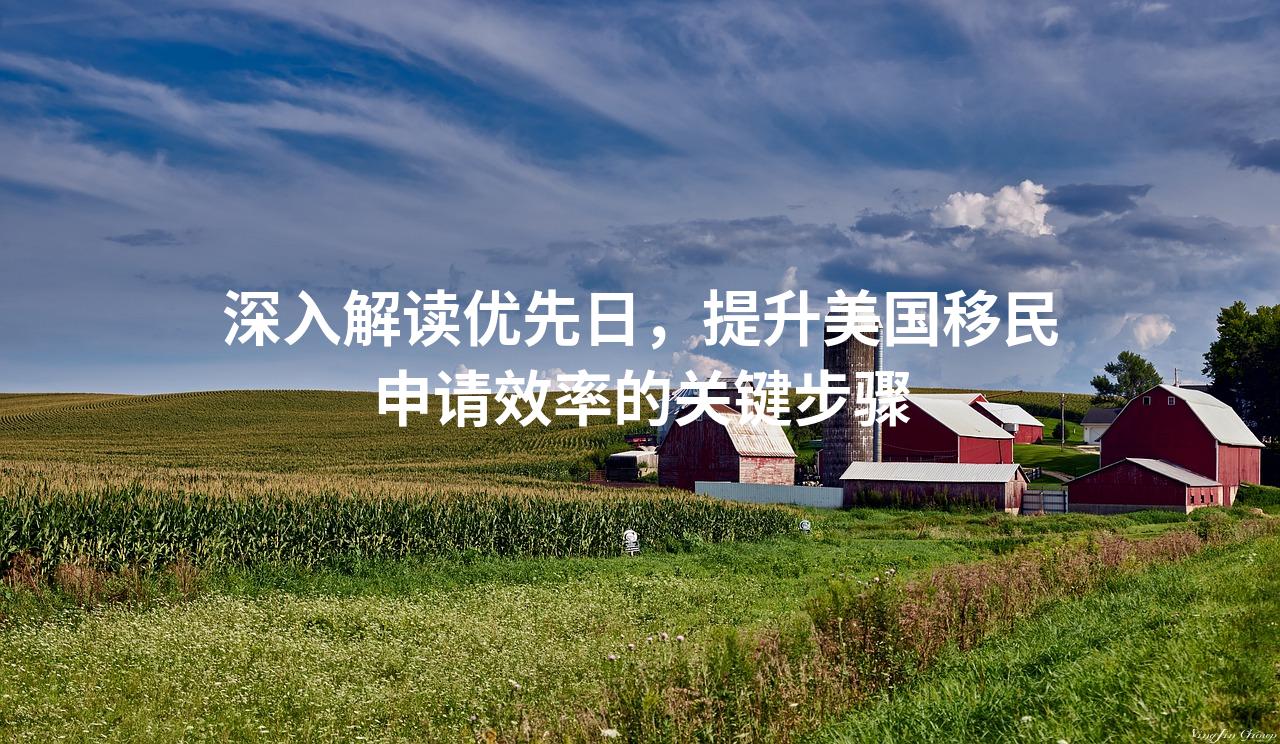 深入解读优先日，提升美国移民申请效率的关键步骤