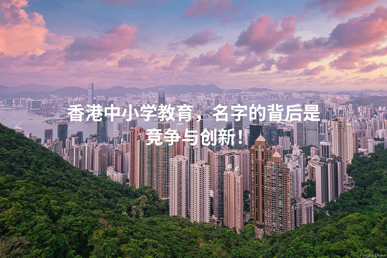 香港中小学教育，名字的背后是竞争与创新！