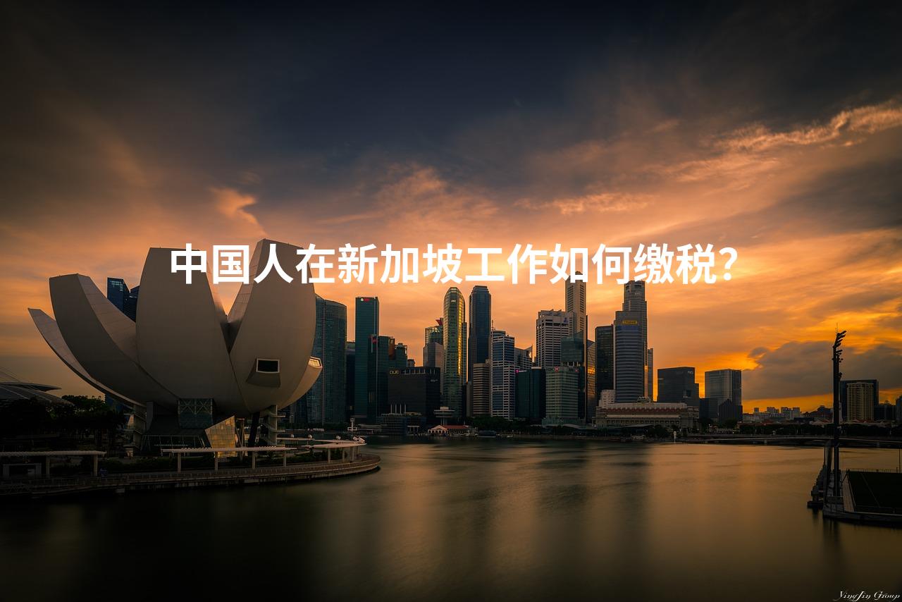 中国人在新加坡工作如何缴税？