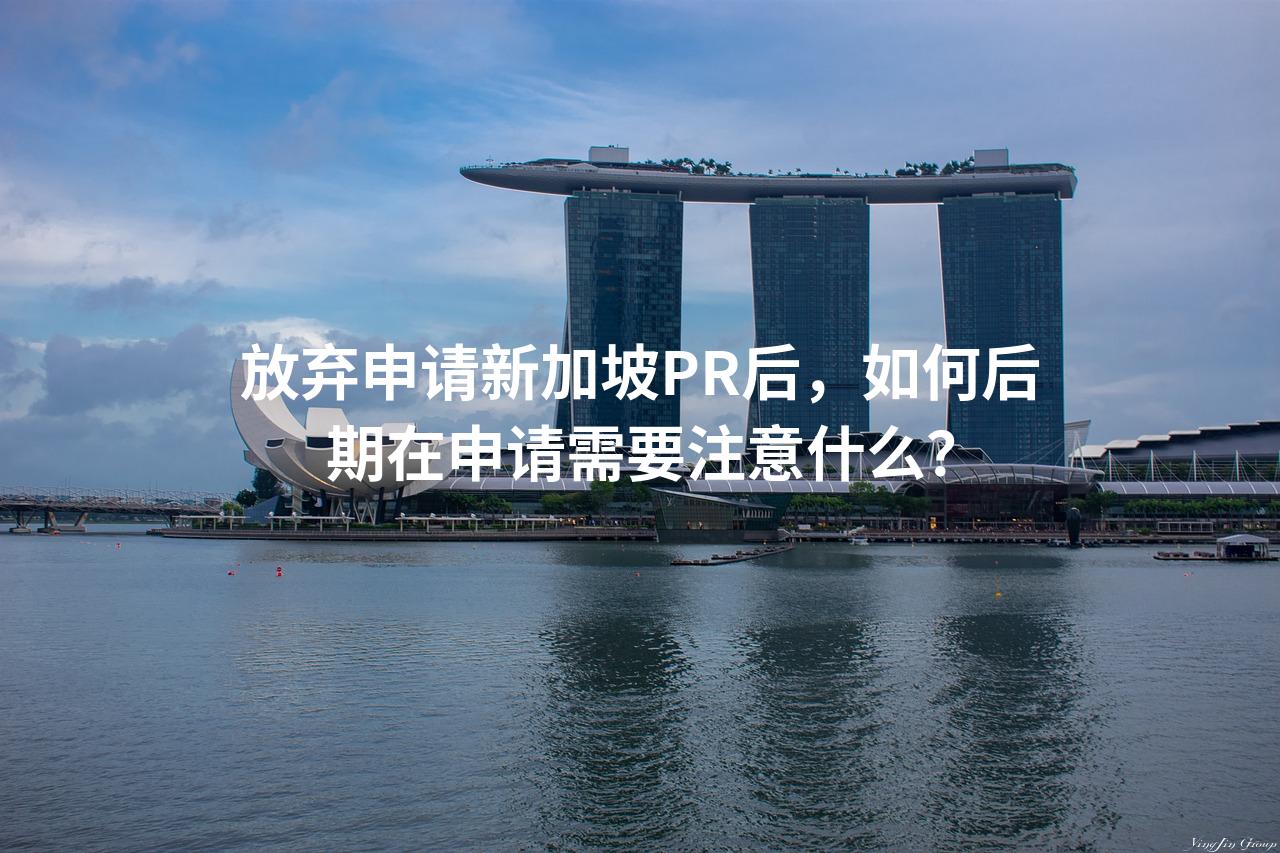 放弃申请新加坡PR后，如何后期在申请需要注意什么？