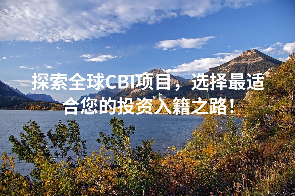 探索全球CBI项目，选择最适合您的投资入籍之路！