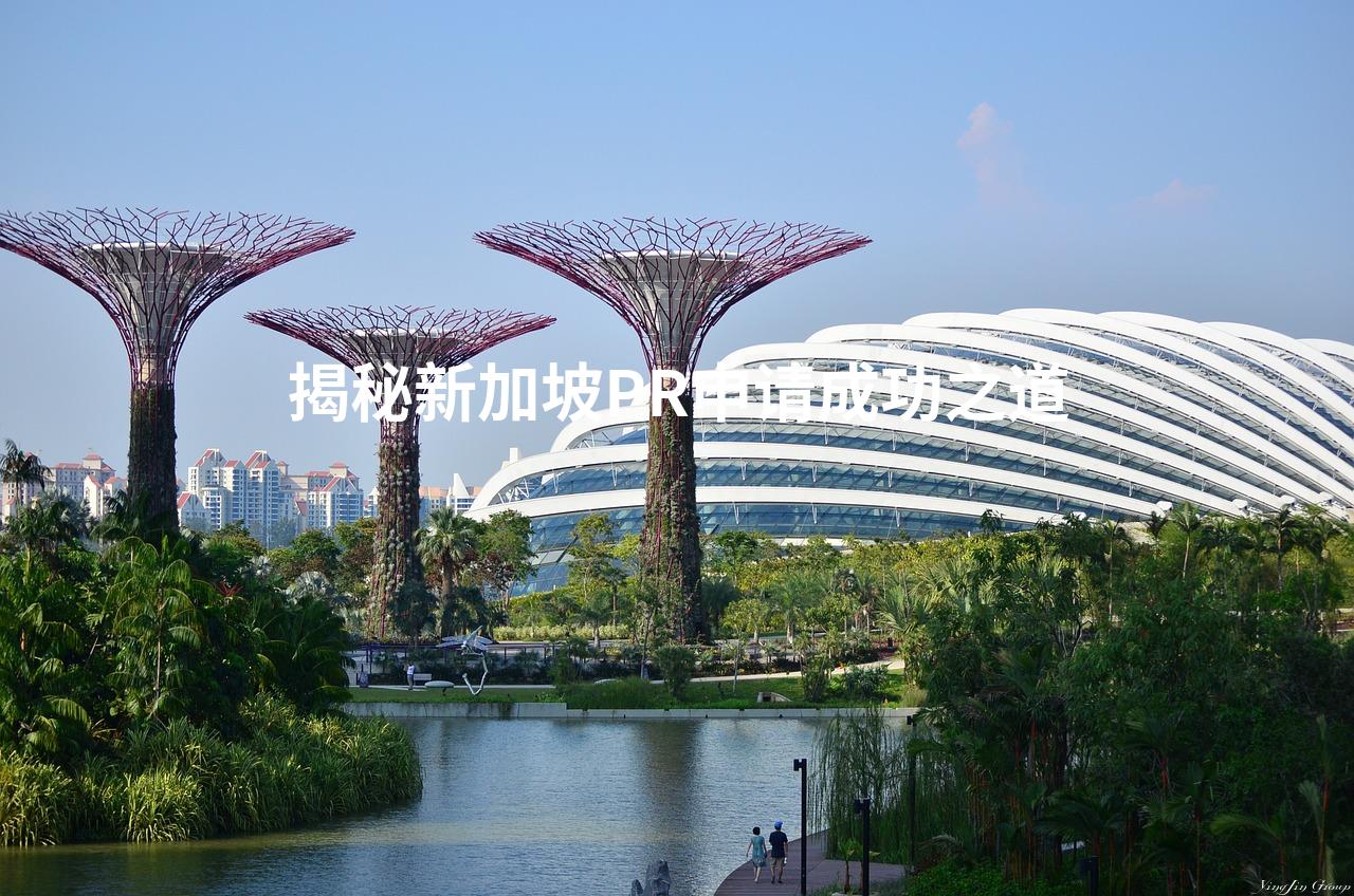 揭秘新加坡PR申请成功之道