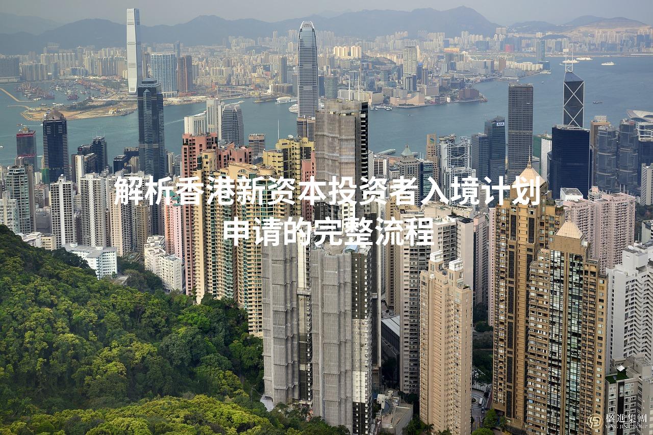 解析香港新资本投资者入境计划申请的完整流程