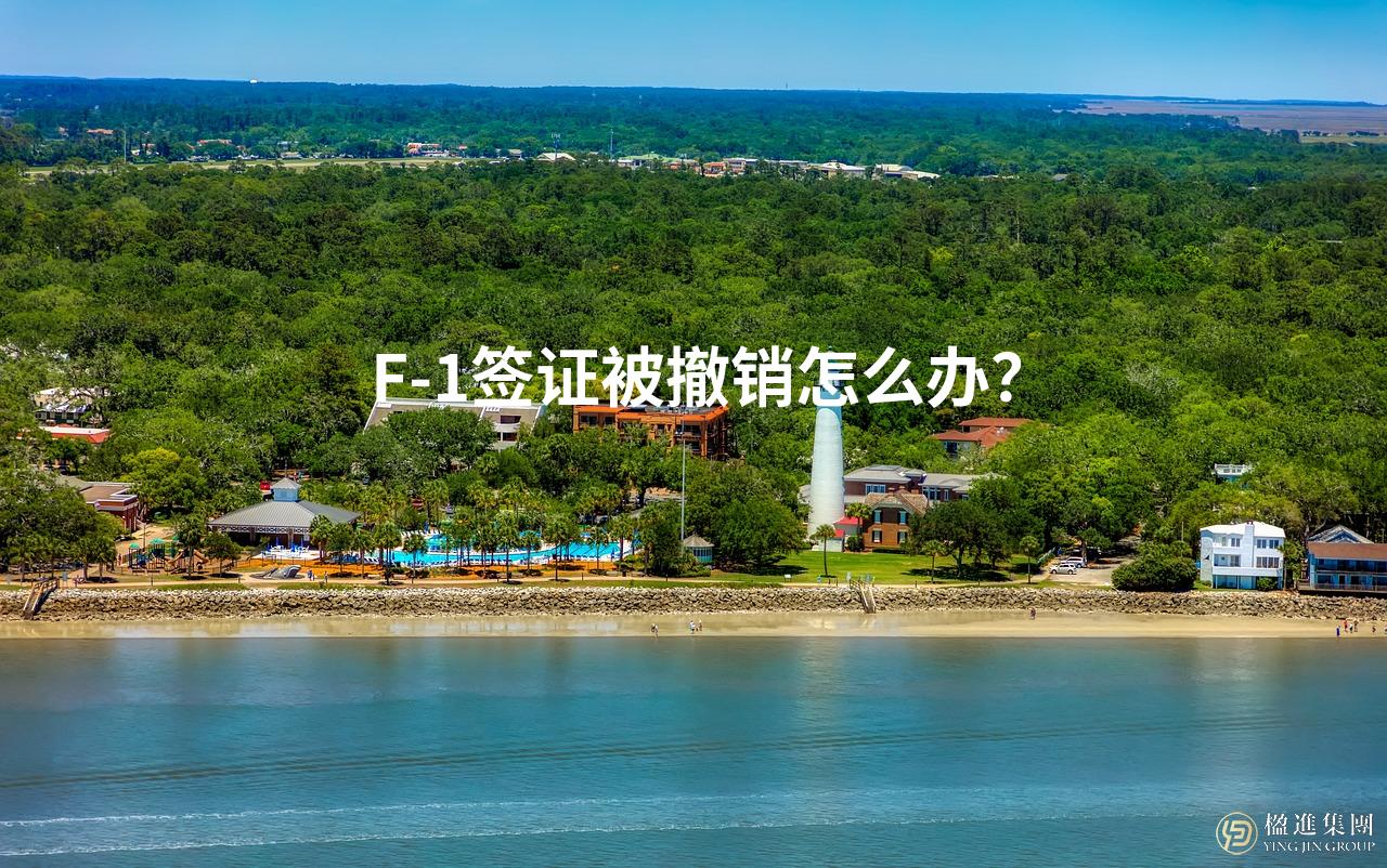F-1签证被撤销怎么办？