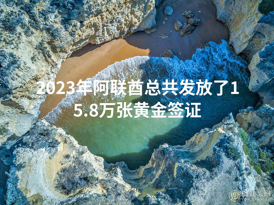 2023年阿联酋总共发放了15.8万张黄金签证