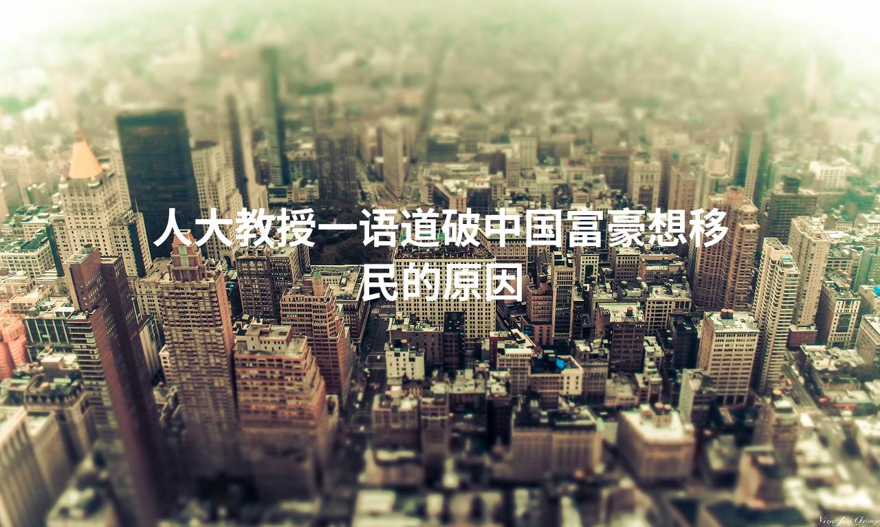 人大教授一语道破中国富豪想移民的原因