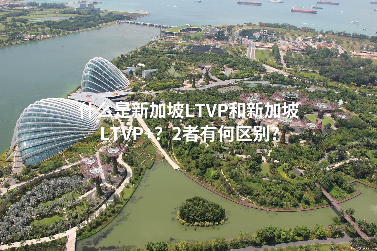 什么是新加坡LTVP和新加坡LTVP+？2者有何区别？