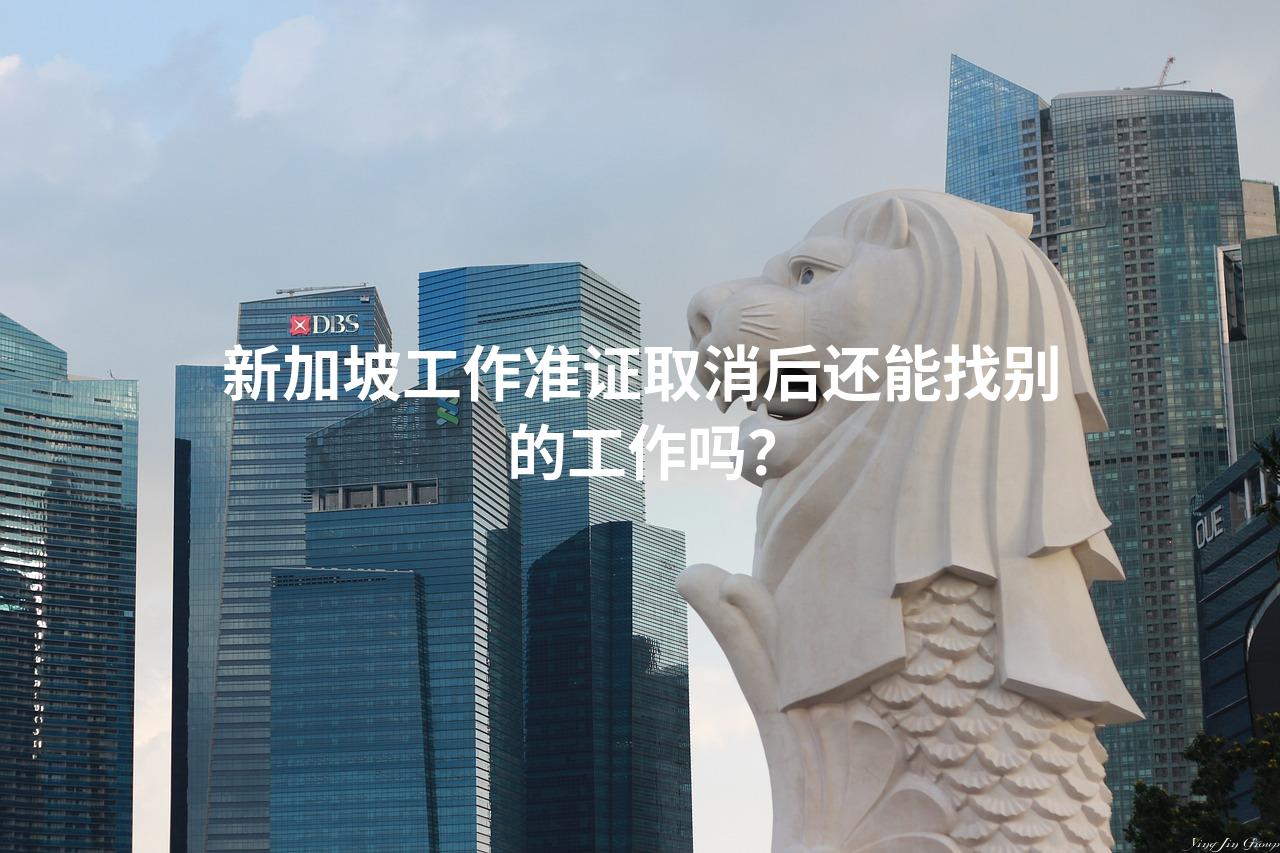 新加坡工作准证取消后还能找别的工作吗？