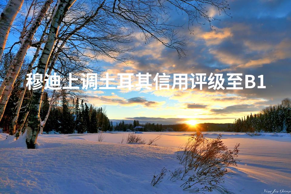 穆迪上调土耳其信用评级至B1