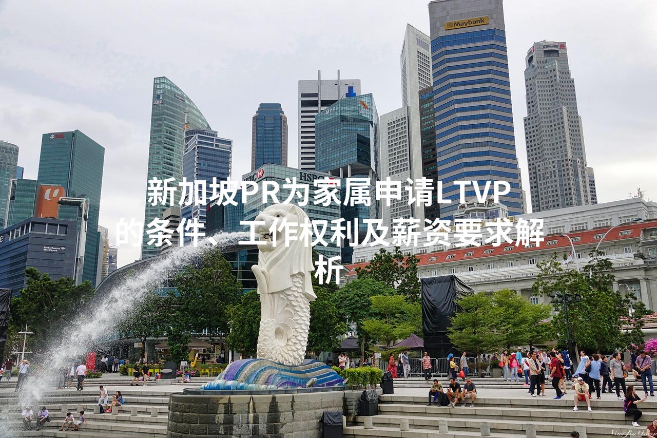 新加坡PR为家属申请LTVP的条件、工作权利及薪资要求解析