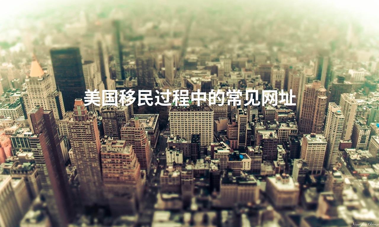 美国移民过程中的常见网址