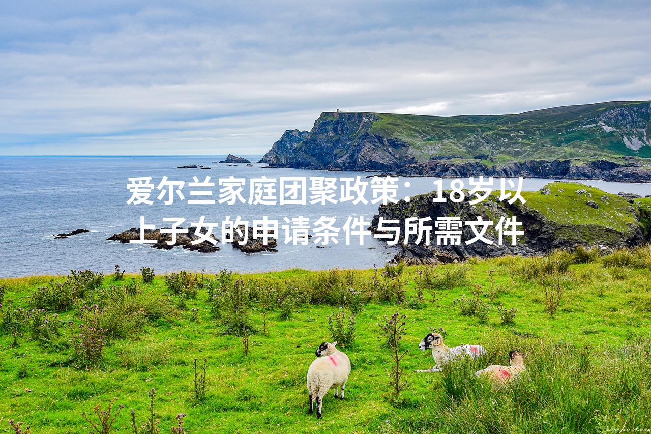 爱尔兰家庭团聚政策：18岁以上子女的申请条件与所需文件