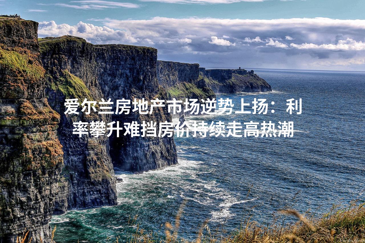 爱尔兰房地产市场逆势上扬：利率攀升难挡房价持续走高热潮