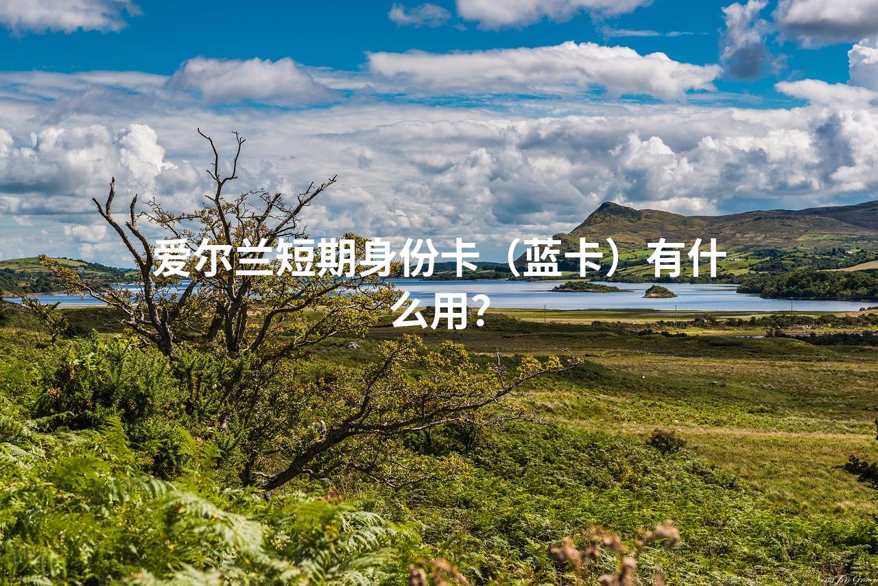 爱尔兰短期身份卡（蓝卡）有什么用？