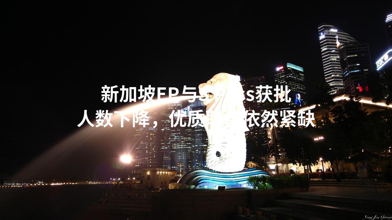 新加坡EP与S Pass获批人数下降，优质职位依然紧缺